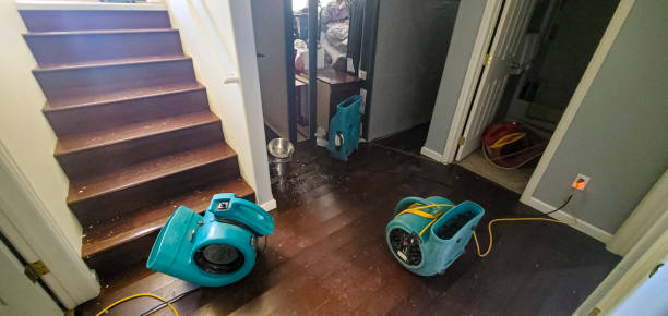 Best Fire Damage Restoration  in West Samoset, FL