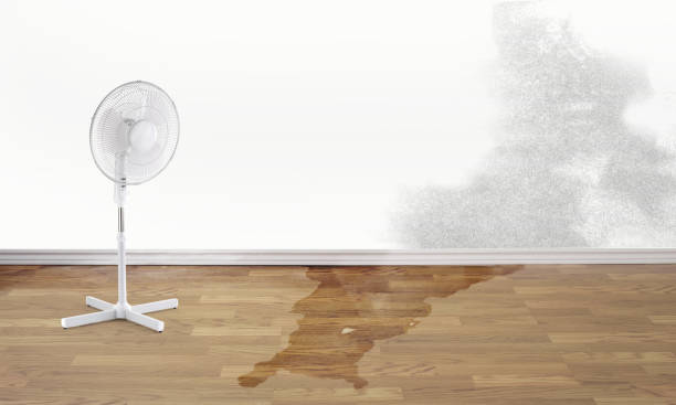 Best 24-hour water damage restoration  in West Samoset, FL