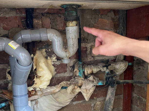 Best Local water damage restoration  in West Samoset, FL