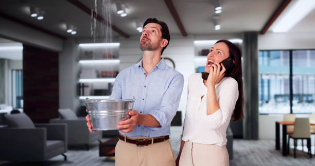 Professional Water damage restoration in West Samoset, FL